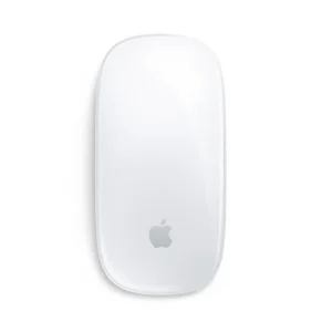 APPLE MAGIC MOUSE